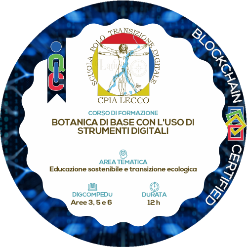 Badge pubblico 75060